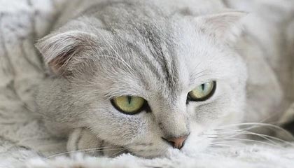 币安删除多个现货交易对并终止现货交易机器人