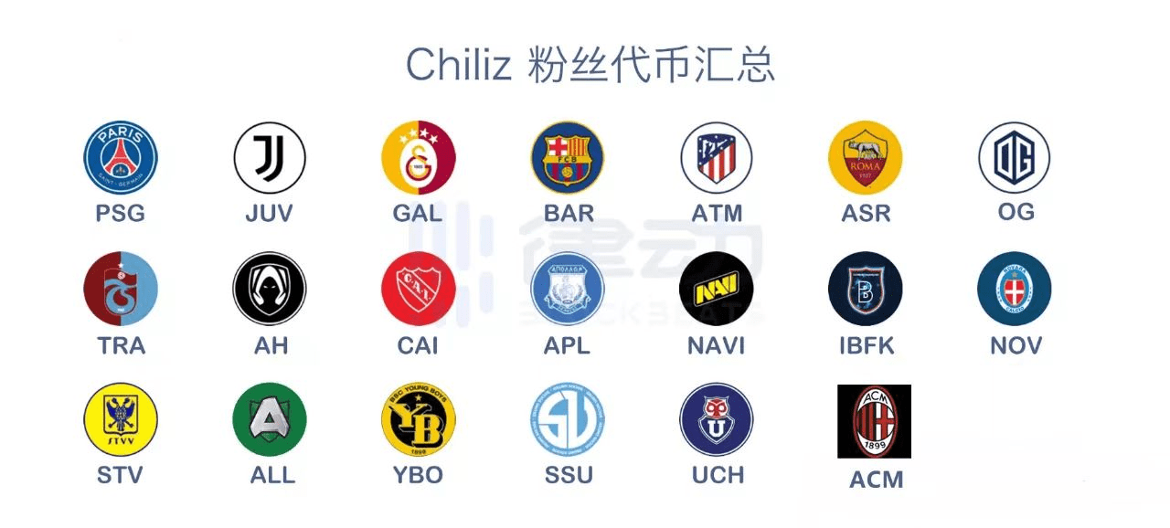 下半年你应当关注的5位加密货币，比特币（BTC）位列前沿