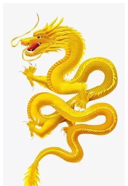 小时候和长大一个德行的生肖