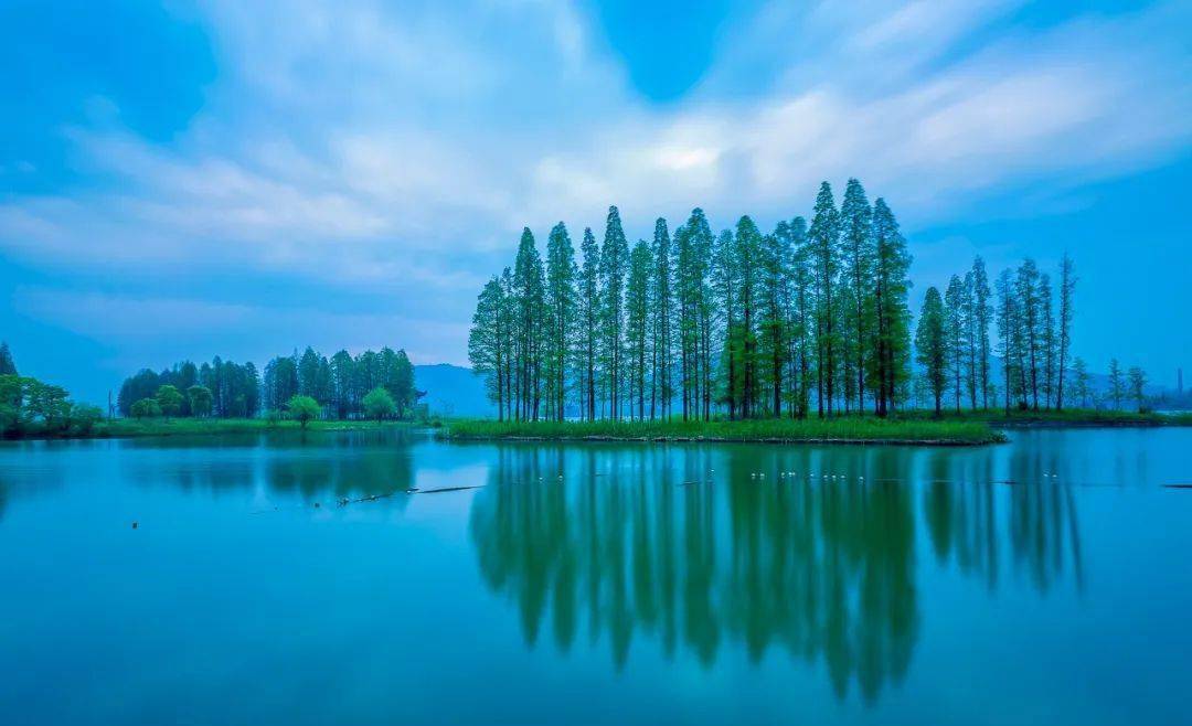 伏尔泰：何谓真正的德行？