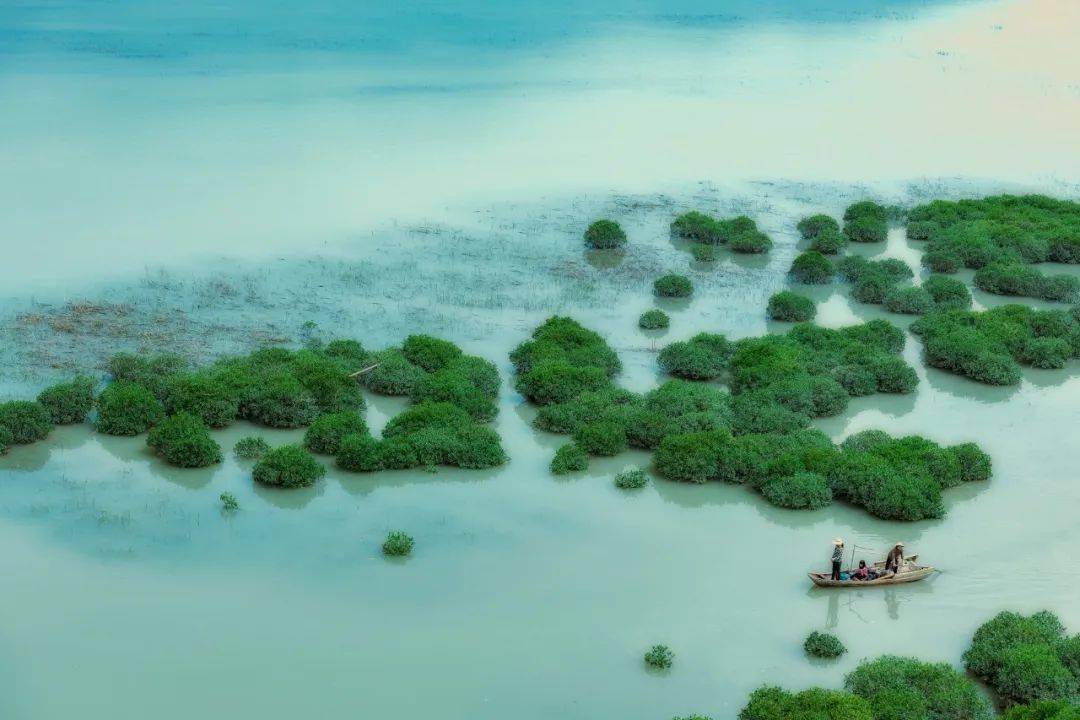 伏尔泰：何谓真正的德行？