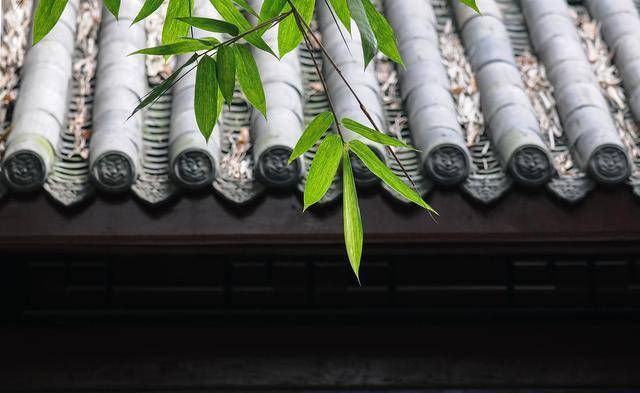 一个女子，有才情重要，还是有德行更重要？