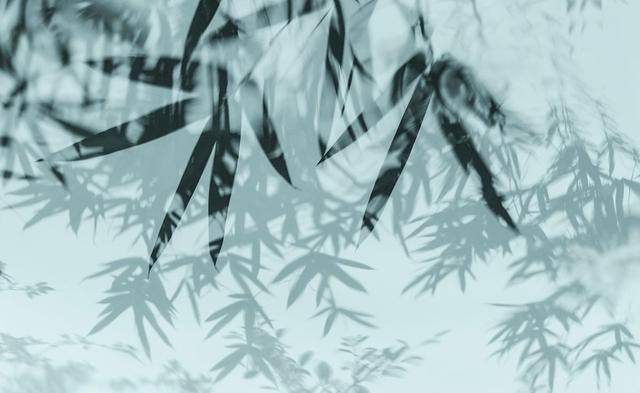 一个女子，有才情重要，还是有德行更重要？