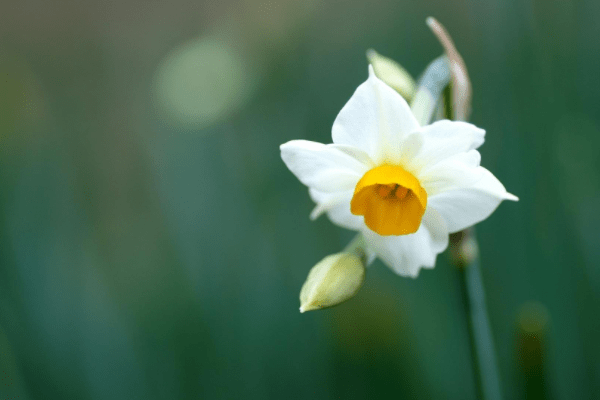 5月23日财神独宠，财运千倍，大喜不断生肖！