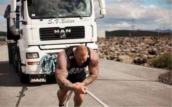 最“强壮”的动物是什么？大象排不上号，它的承重量是体重的千倍