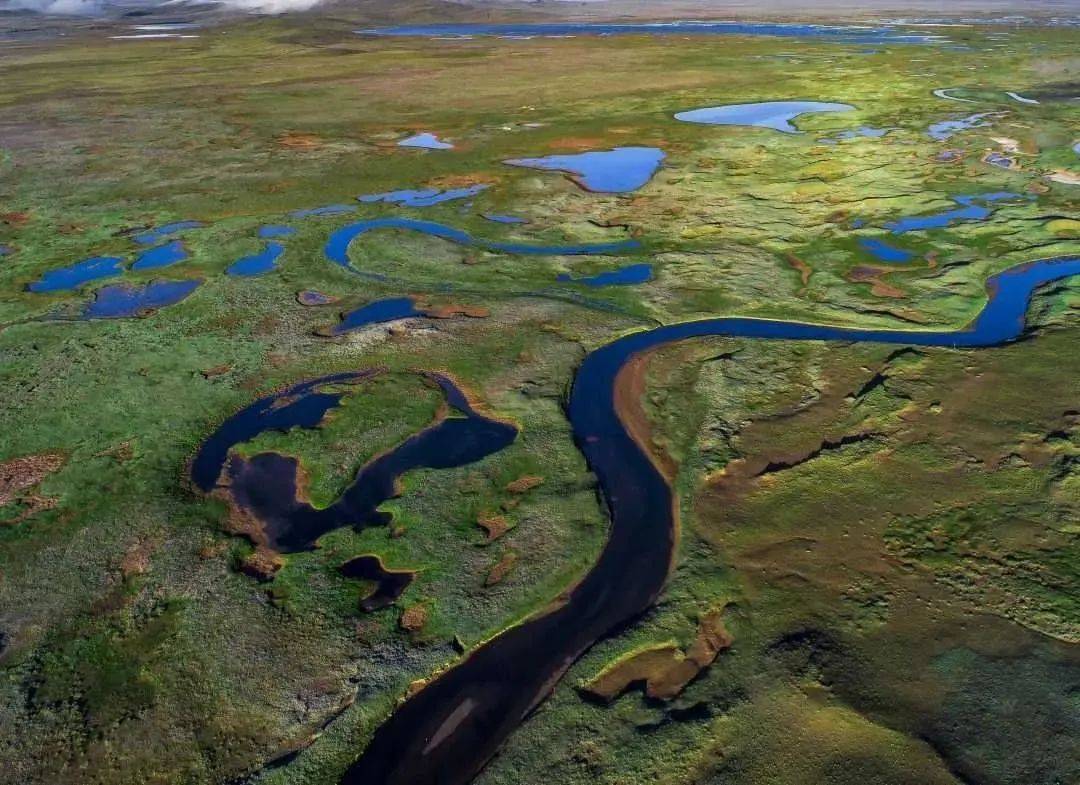 8月新币来啦！这两枚币绝对会被约爆！