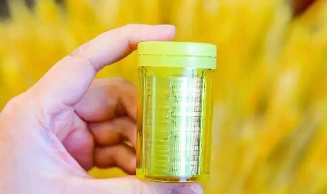 2枚新币即将出炉，泰山币从此火了，双传承系列必做！