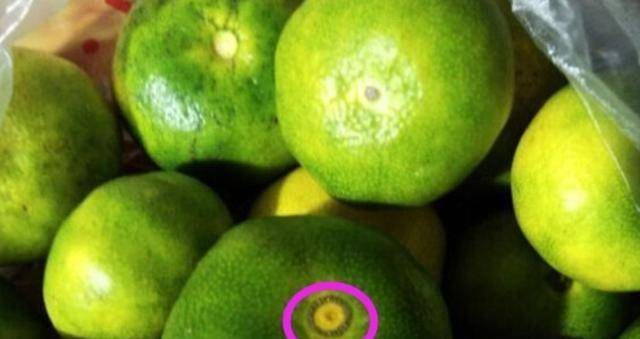 又到了桔子的季节，那该如何挑选酸甜可口的桔子呢？