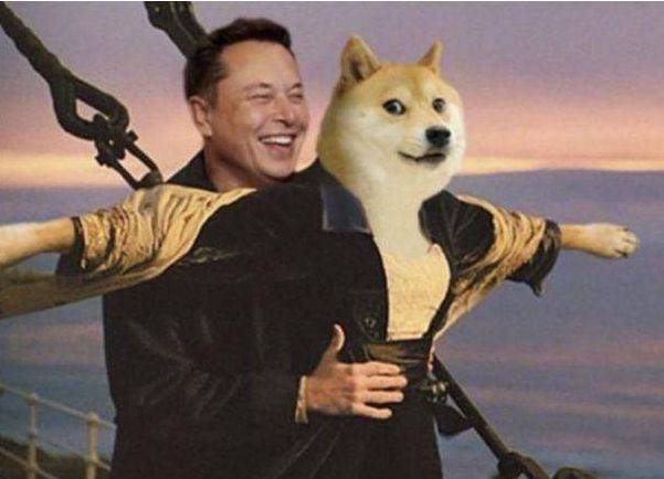 狗狗团队：“狗狗币是新的狗狗币”