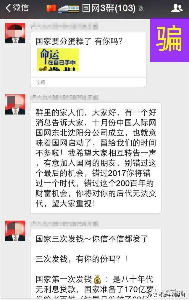 以“五行币”、“金砖项目”、“国网项目”虚假项目进行诈骗，一主犯获刑！