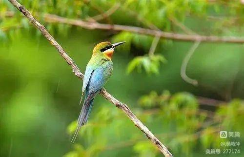 赴酉阳修拳度假交通指南