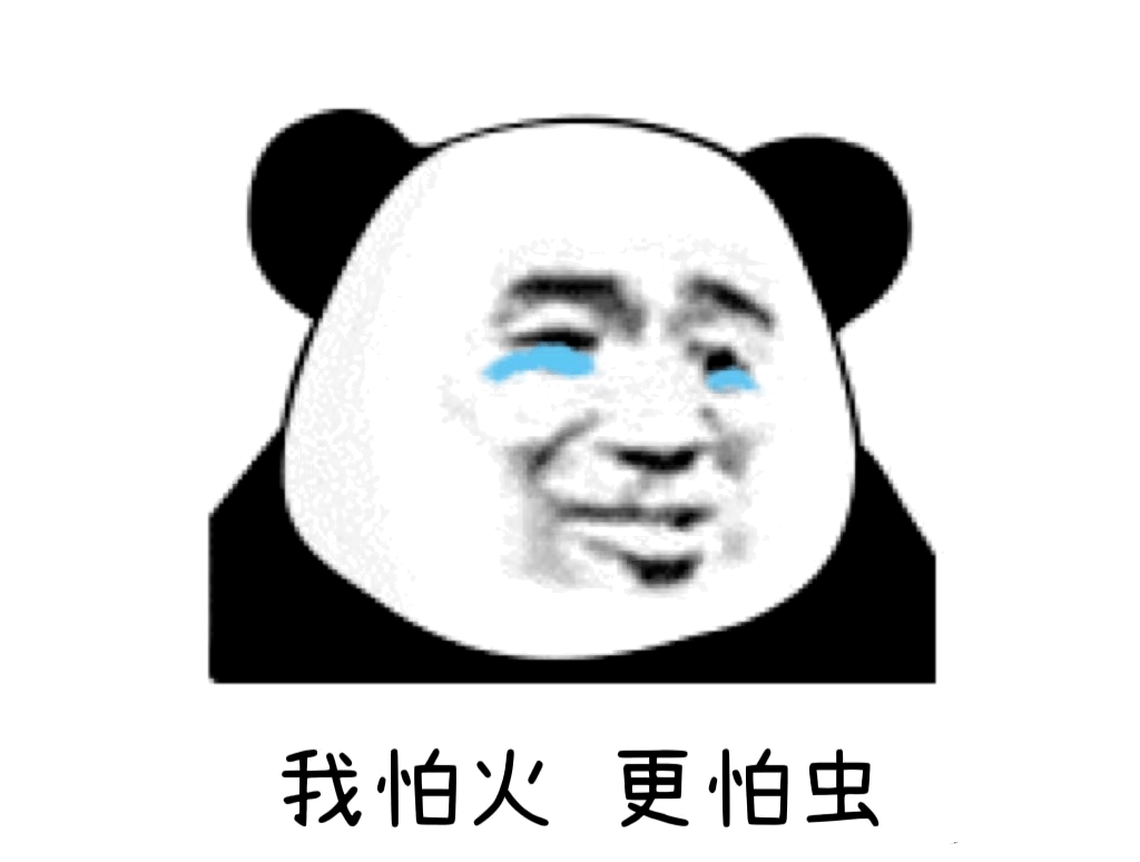 想去露营？这些知识得先知道！