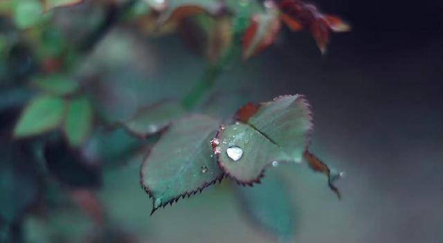 先知礼仪，后仓廪实