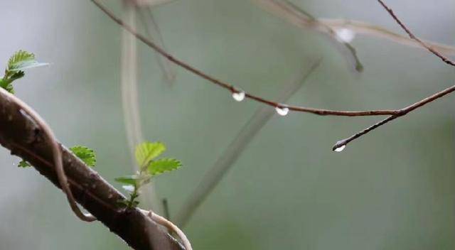 先知礼仪，后仓廪实