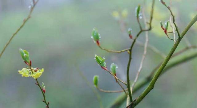 先知礼仪，后仓廪实