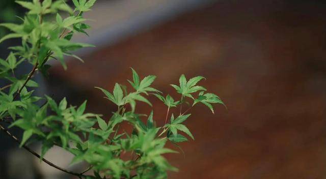 先知礼仪，后仓廪实