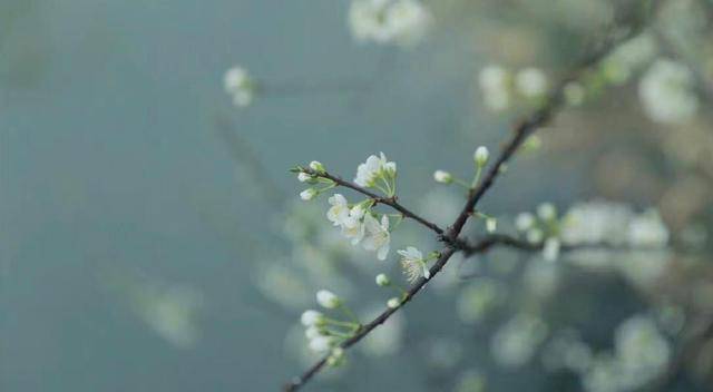 先知礼仪，后仓廪实