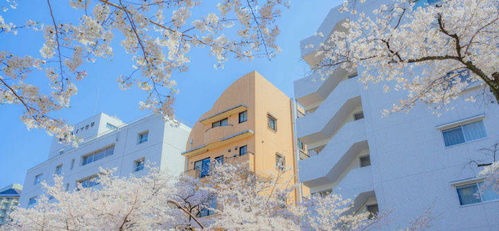 想去韩国留学？这几点你要先知道