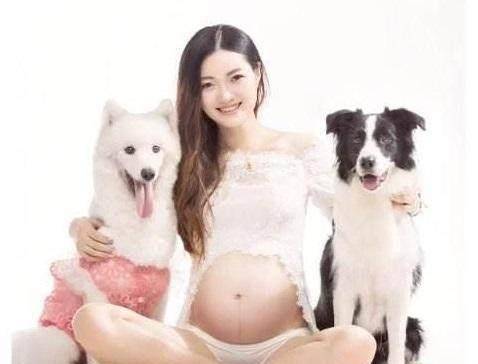 孕期养宠物，后果会这样？这些知识你需要先知道