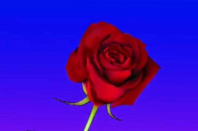 想你，千里相思千里爱，半痴半醉与君同