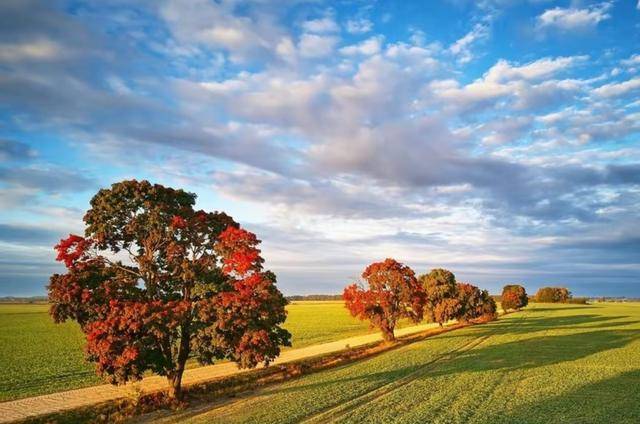 想你，千里相思千里爱，半痴半醉与君同