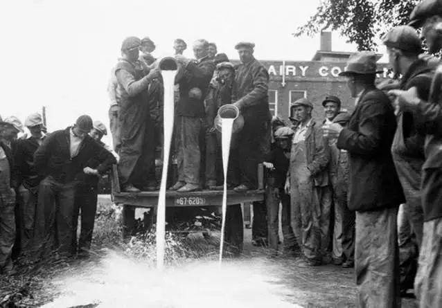 把200万网民币扔进下水道后，娱乐圈上演集体道歉？