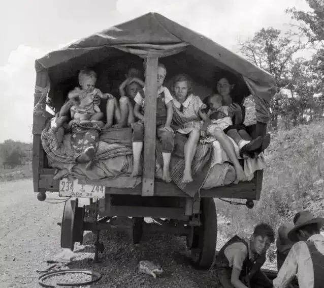 把200万网民币扔进下水道后，娱乐圈上演集体道歉？