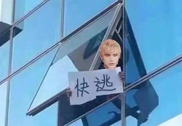 把200万网民币扔进下水道后，娱乐圈上演集体道歉？