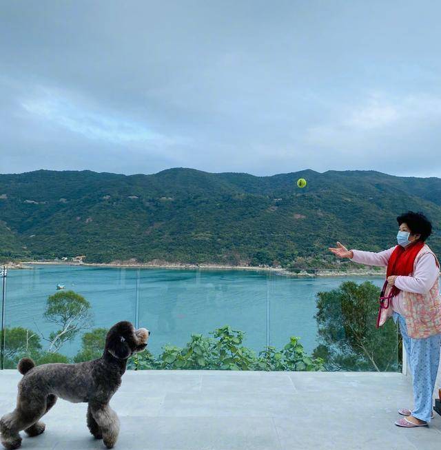 陈伟霆有多壕？内地走红7年香港置业5套豪宅，总价值逾4亿网民币