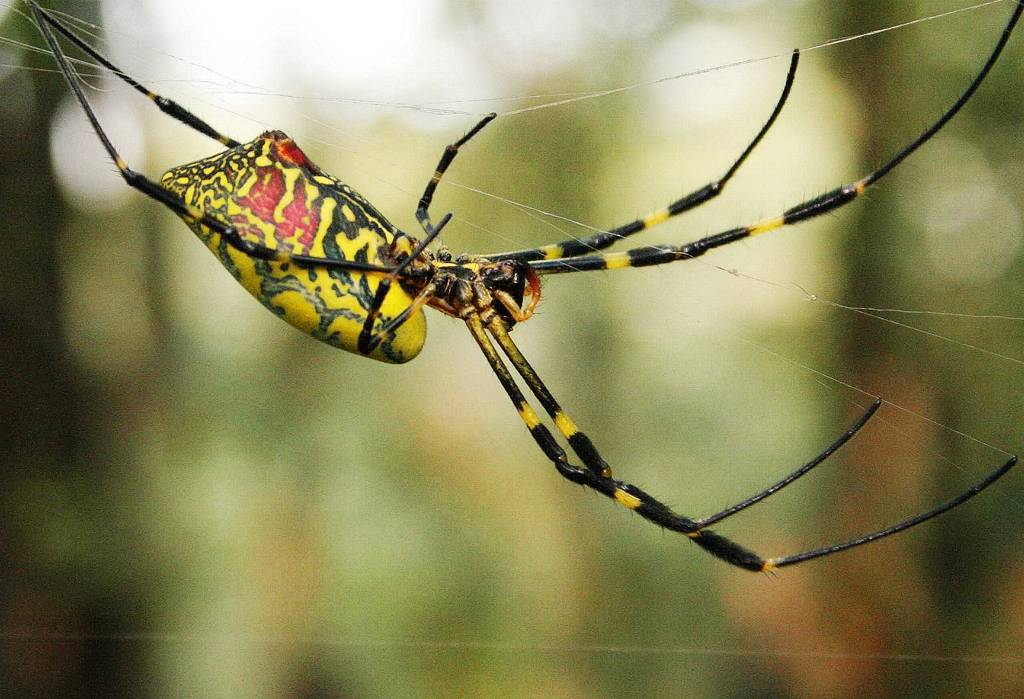 网呀网，说不清的网