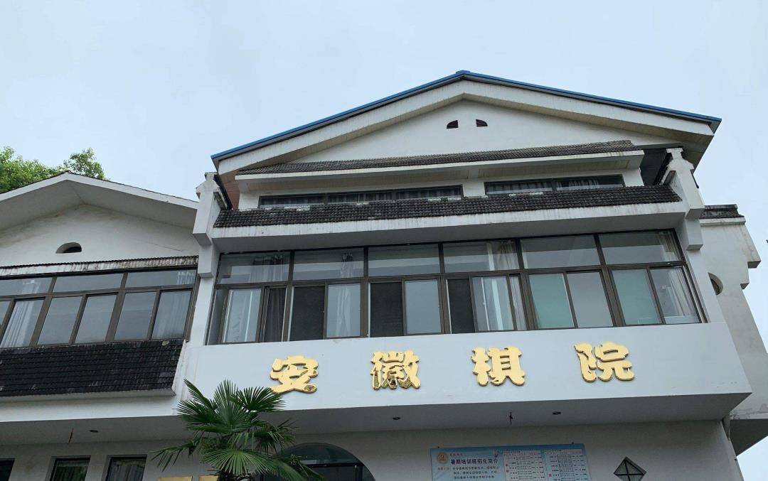 领悟入书，去合肥见王夜辉老师