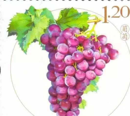 “二鼠币”兑换后，“鼠葡萄”组合正式“出道”