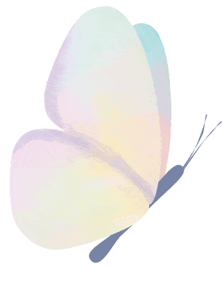 惊艳！罕见双色睡莲“万维莎”在南沙湿地惊现绽放！