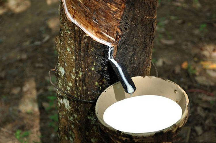 王德诚：7.4中长线布局开启，甲醇乙二醇橡胶生猪期货行情分析