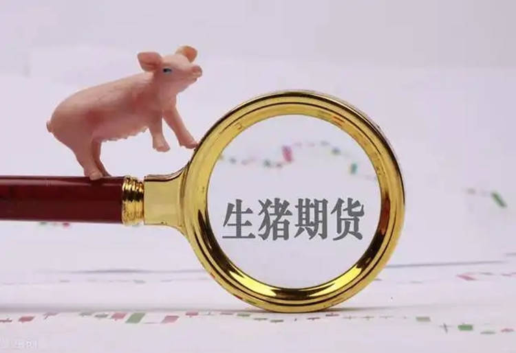 王德诚：7.4中长线布局开启，甲醇乙二醇橡胶生猪期货行情分析