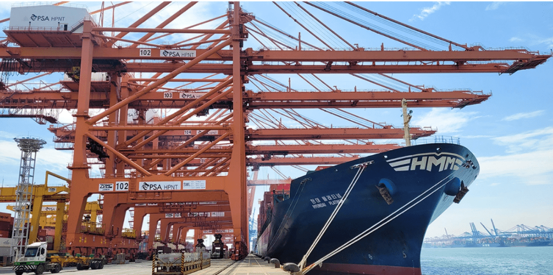 这家船公司宣布分红，股东却炸锅了！