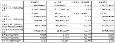 通鼎互联信息股份有限公司2022年度报告摘要