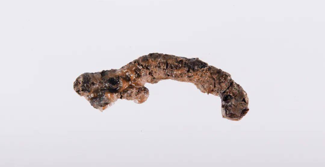 文博日历丨“马”上有钱的纪念币长这样→