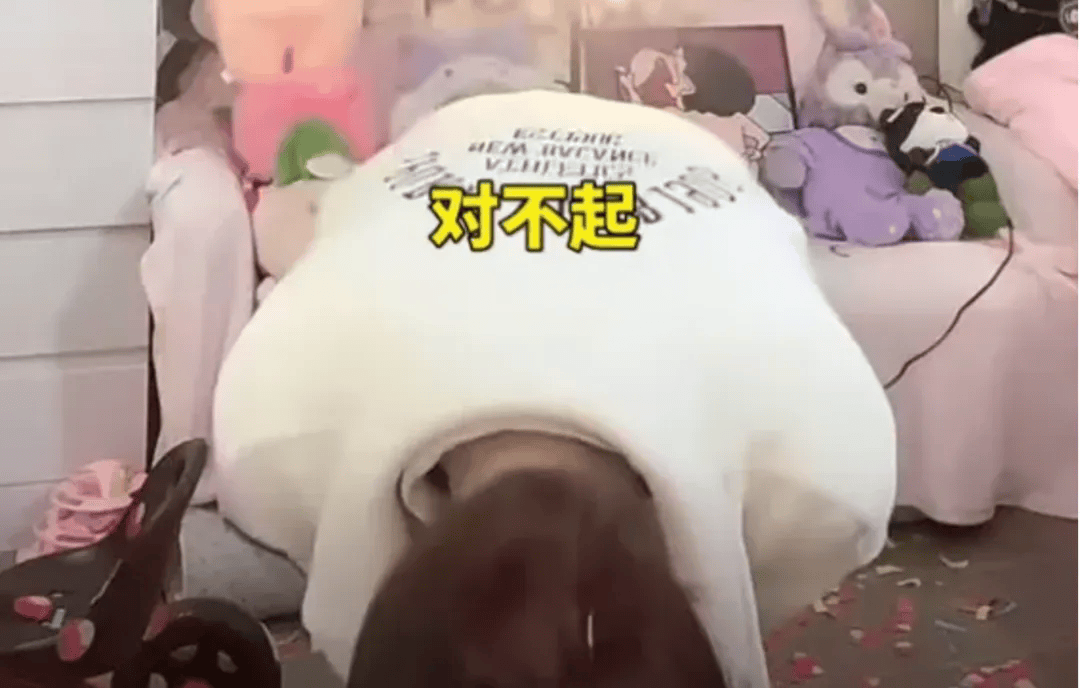 吴柳芳再被罚！粉丝数从600多万暴降到4万！