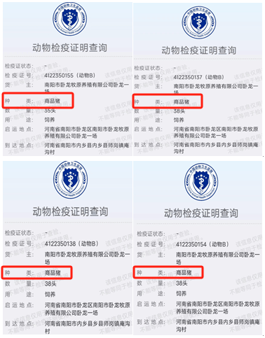 超3000头猪死亡：牧原股份遭老养殖户起诉