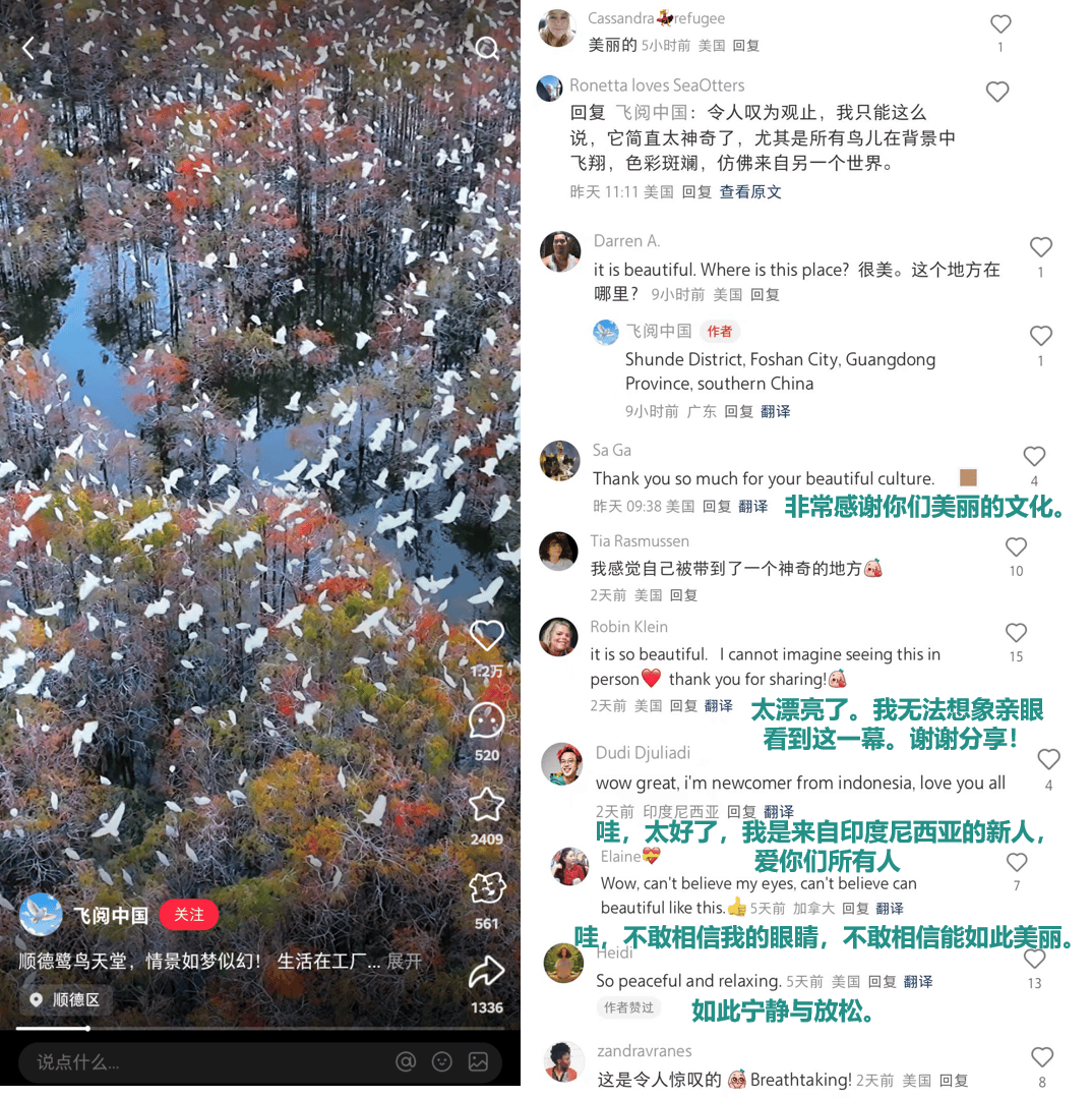 小红书上的外国网友，都在点赞佛山什么？