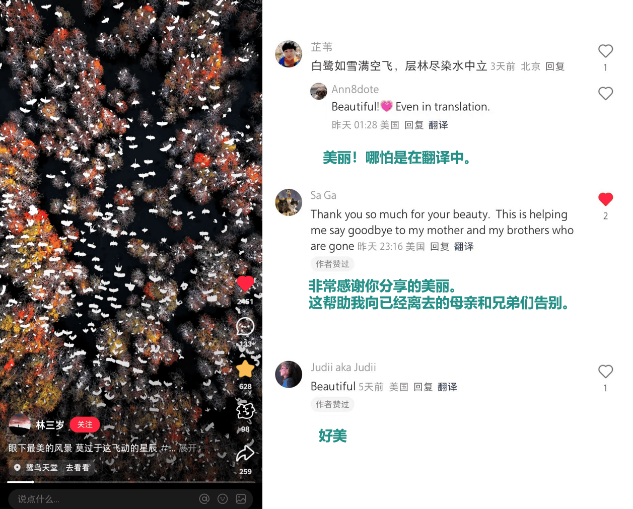 小红书上的外国网友，都在点赞佛山什么？