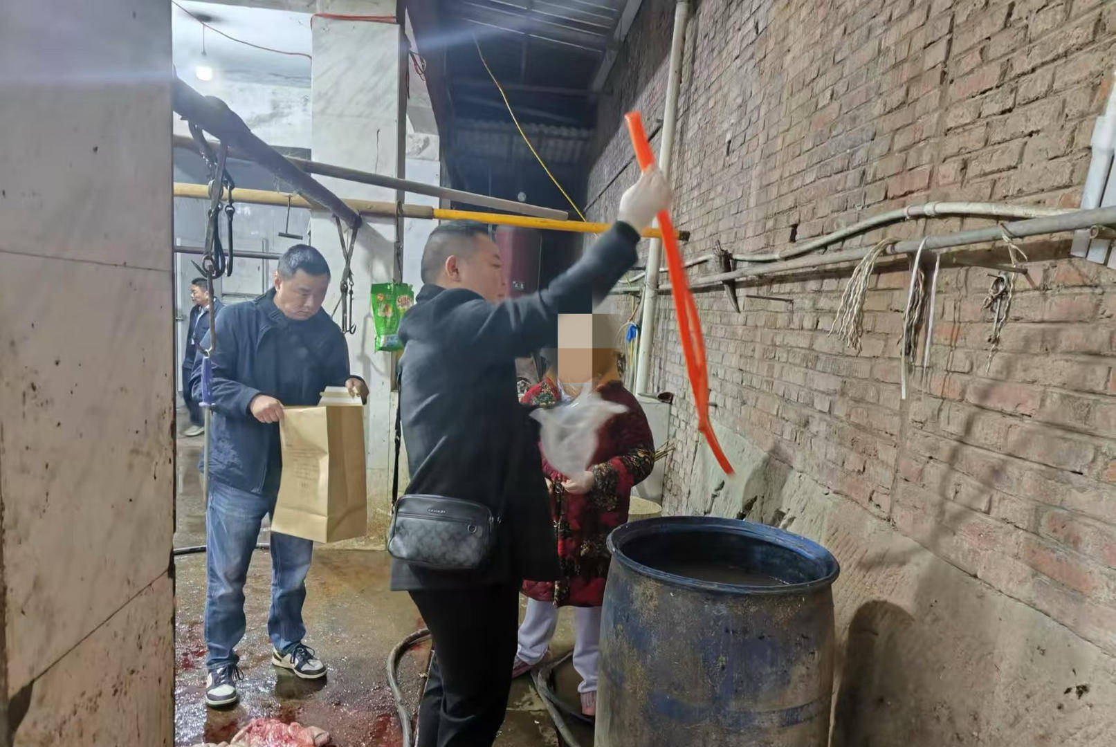 给活牛插管注水每头增重80斤！四川荣县警方破获一起售卖注水牛肉案，5人被抓