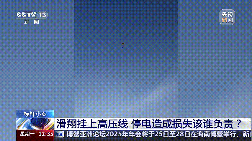 深圳女子被挂高压线！停电救援，9池鱼死光！他怒上法庭……