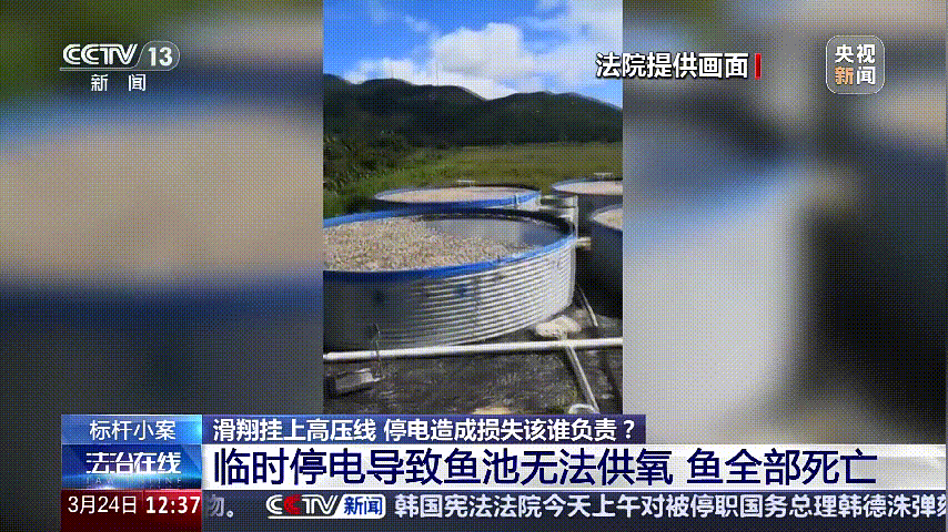 深圳女子被挂高压线！停电救援，9池鱼死光！他怒上法庭……