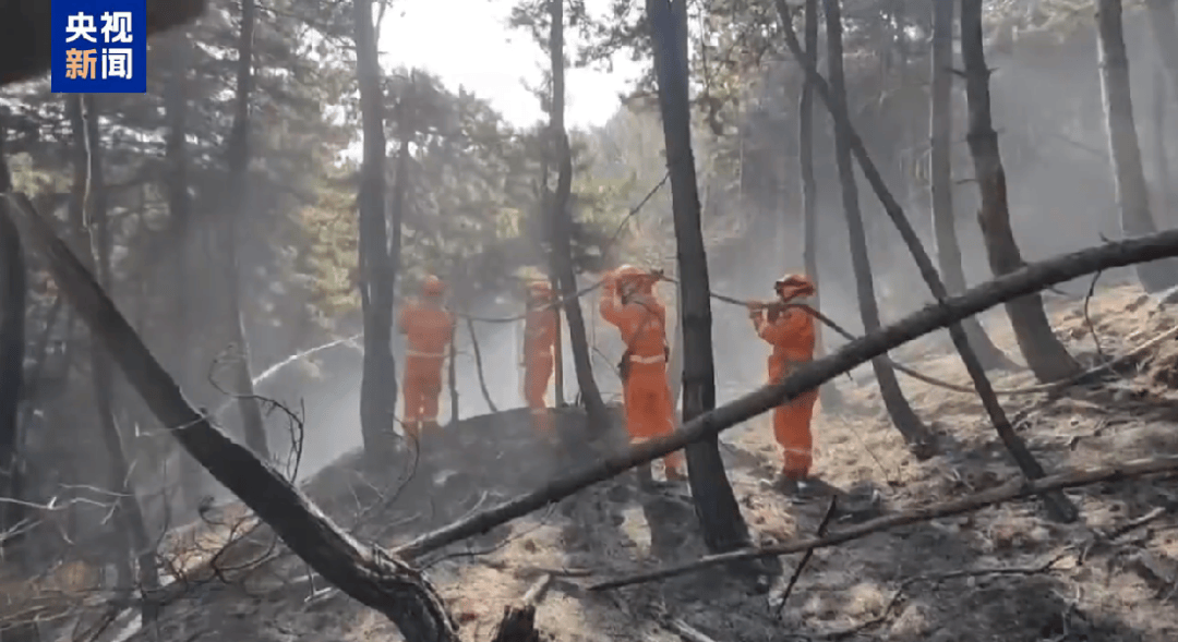 山西发生一起火情！最新消息：纵火人员已被抓获