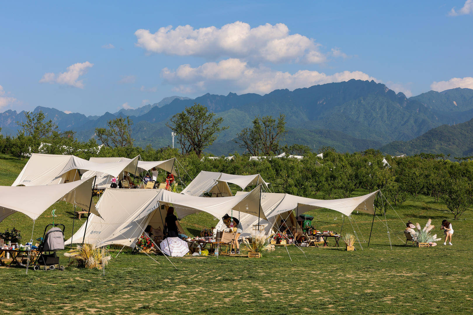 原价499元的天幕现在卖148元，二手平台现露营装备低价甩卖