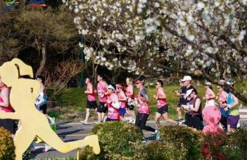 马拉松职业“私兔”最高月入4万 从熟人搭子到有偿服务