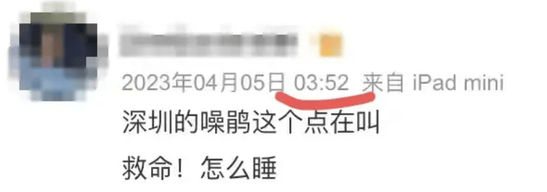 “周末想睡个懒觉都不行”，有多少深圳人被这种鸟吵到神经衰弱