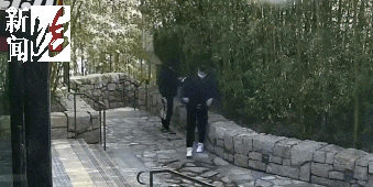 太猖狂！事发上海迪士尼，7人被刑拘